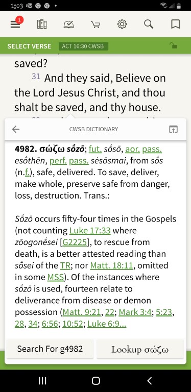 Sozo ~ Matthew 9:21 / Mark 5:28