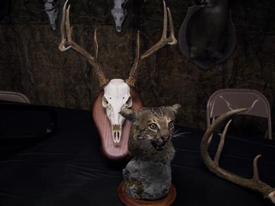 Wild Beast Feast 2013-09